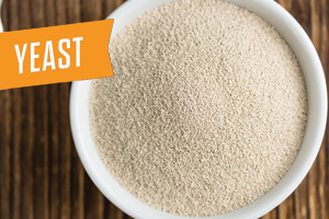 Yeast - You can't make beer without it!