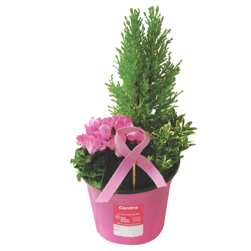 Potted plant abc 1