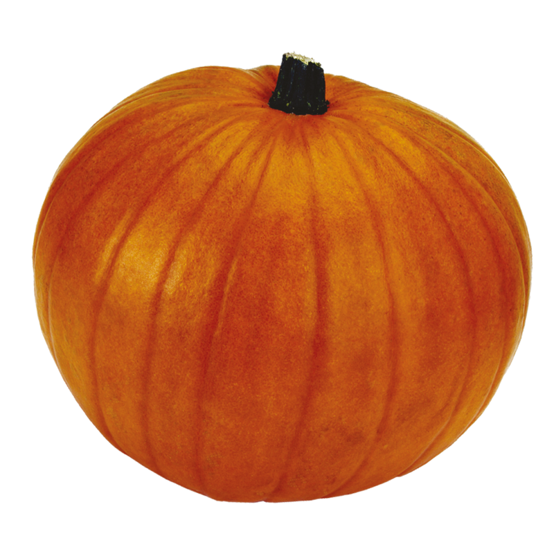 CT Pumpkin loose