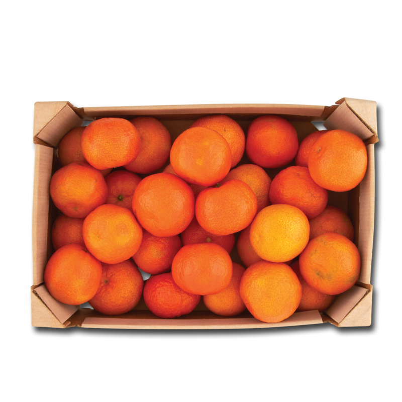 CT easyPeelers