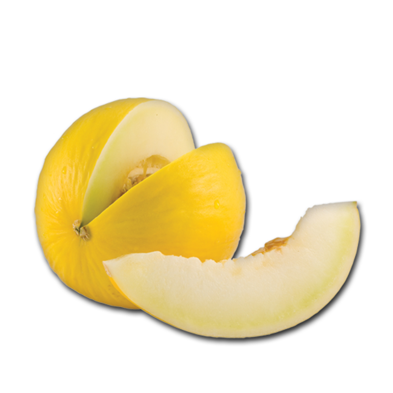 CT melon PA315